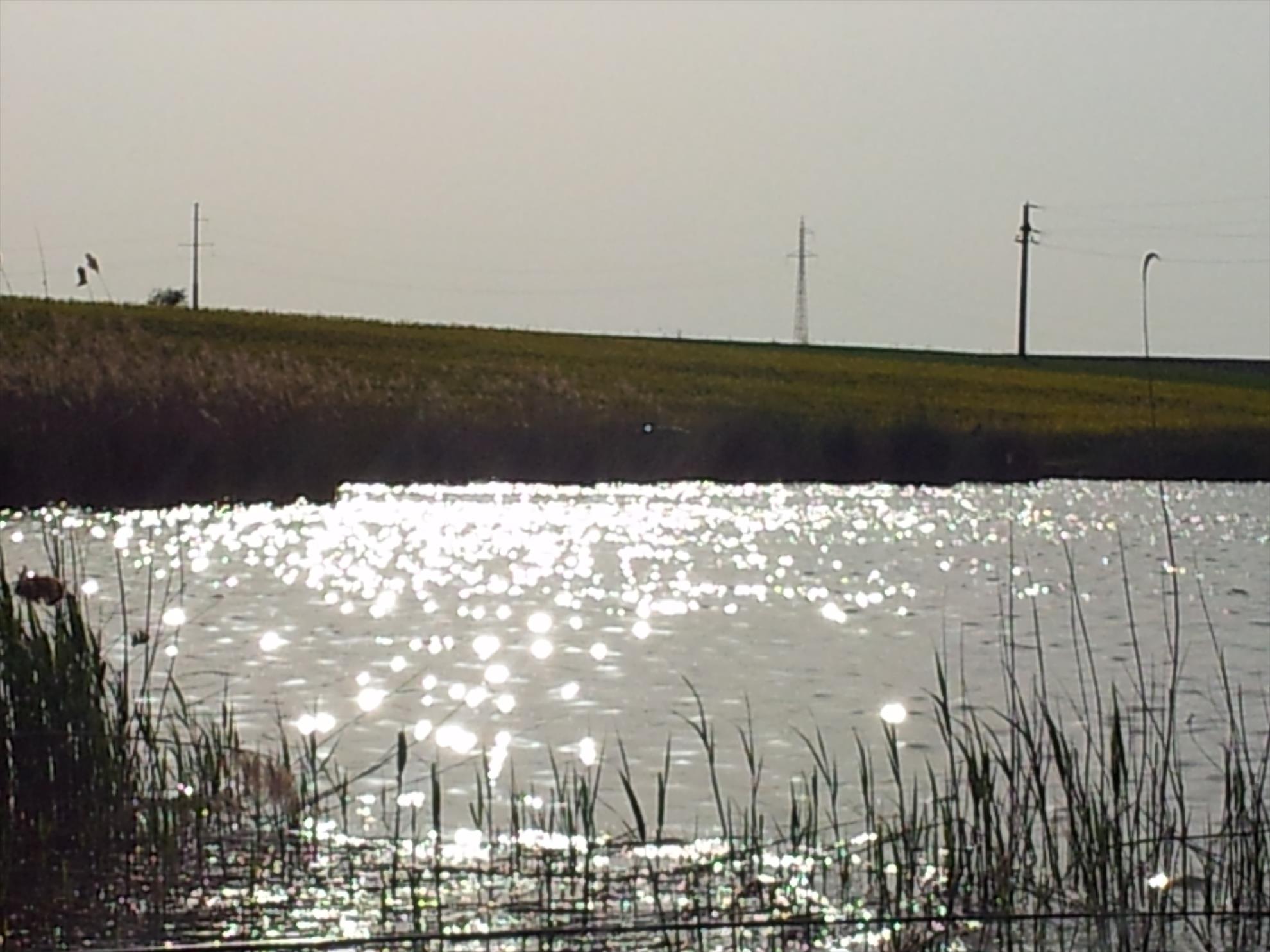 Album Lupsanu 2013 - 20130427081449.jpg